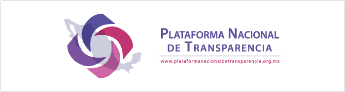 plataforma nacional transparencia